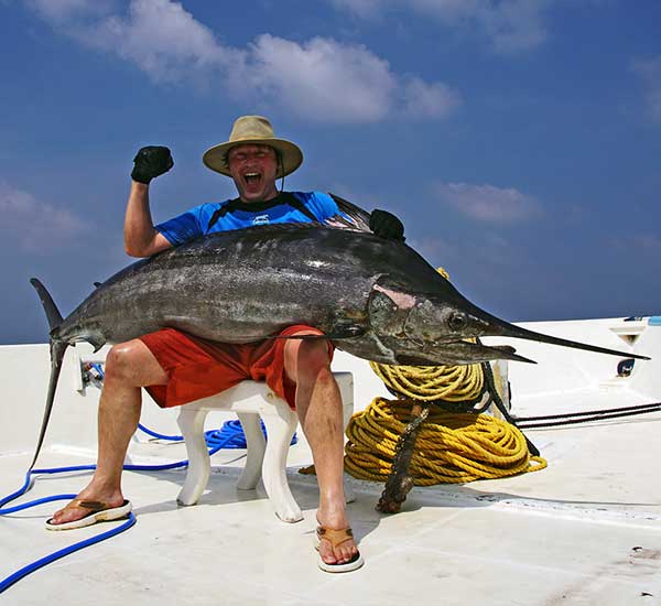 Schleppfischen, Trolling, auf Marlin